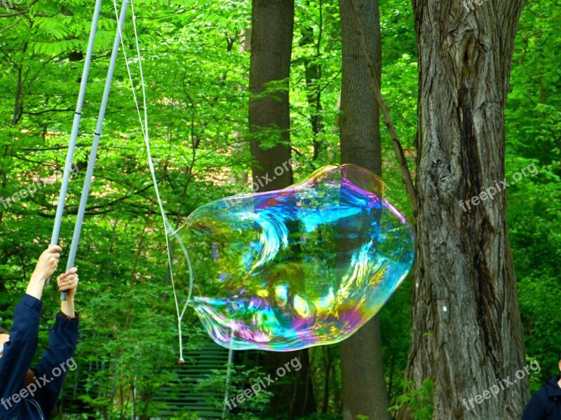 Soap Bubble Flying Weightless Shimmer Float