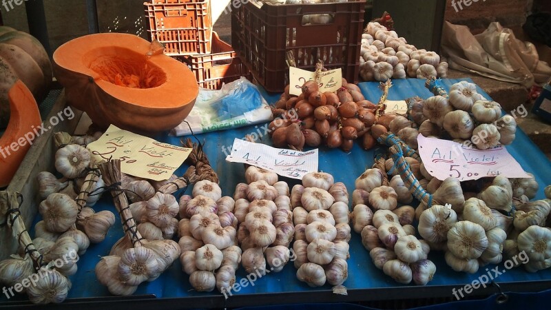 Market Garlic Pumpkin Food Fresh