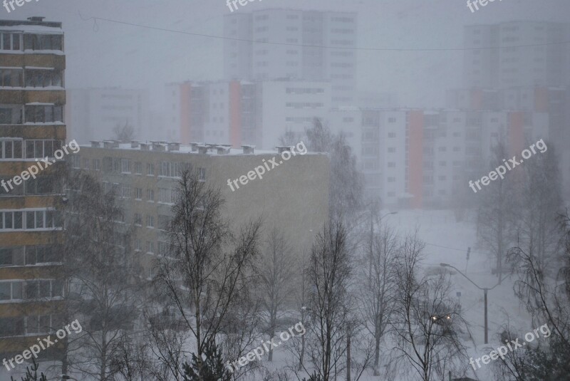 Tallinn Snowing House Snowstorm Cold