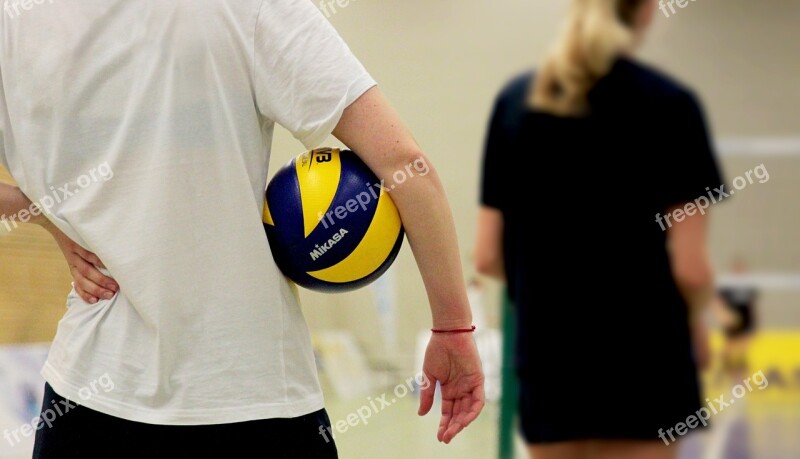 Volleyball Sport Ball Volley Ball Sports