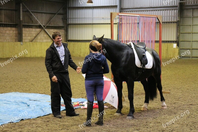 Equine Horsemanship Horse Equestrian Nature