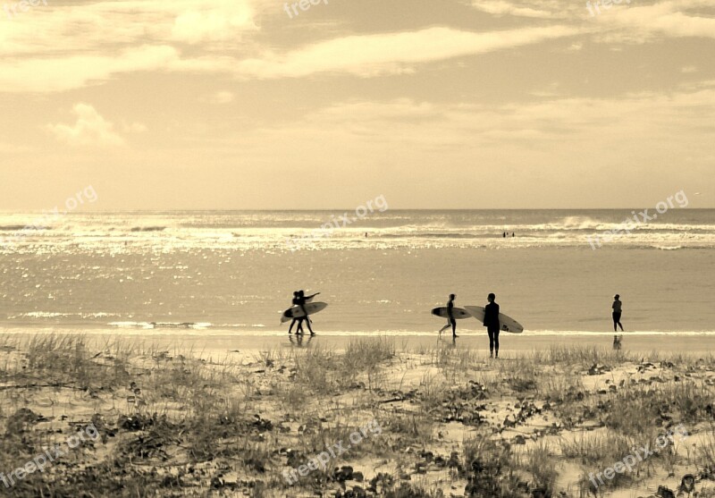 Surfers Beach Summer Sea Ocean