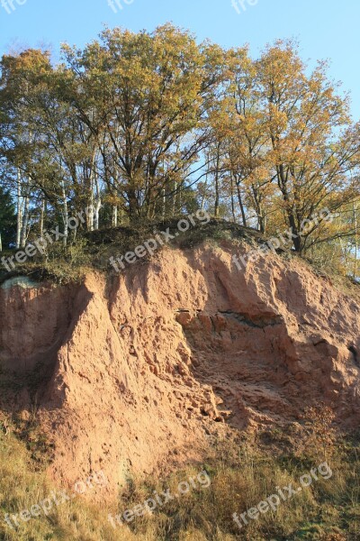 Lieth Lime Pit Cliff Slope Free Photos