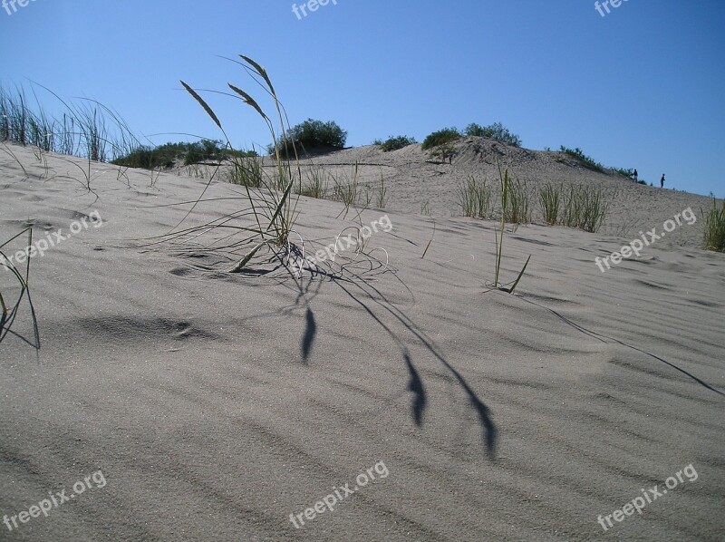 Dune Lithuania Kuršská Scythe Free Photos