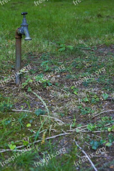 Faucet Grass Water Drought Green