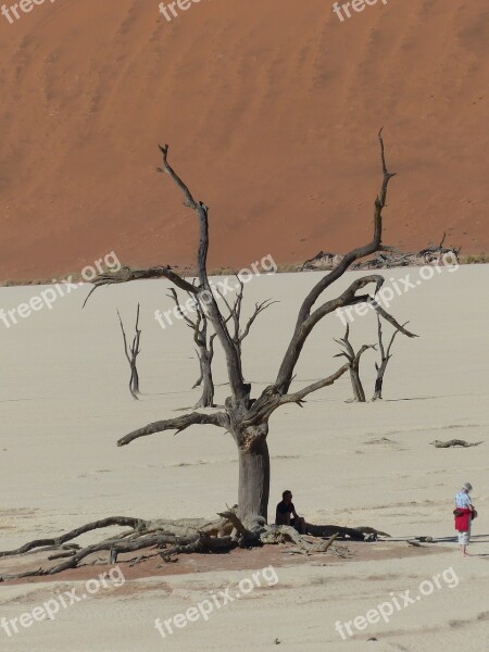 Soussousvlie Dead Trees Namibia Africa Desert