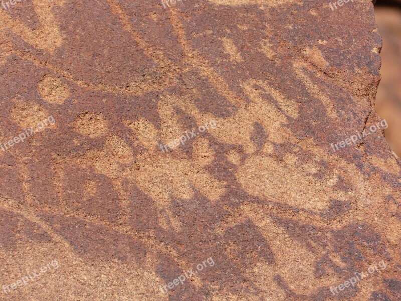 Rock Paintings Bushmen Namibia Prehistoric Prehistory