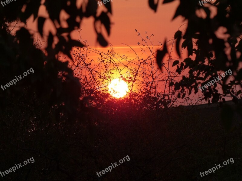 Sunset Namibia Mood Bushes Bush