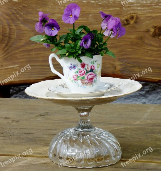 Garden Decoration Violet Plant Cup And Saucer Atmosphere