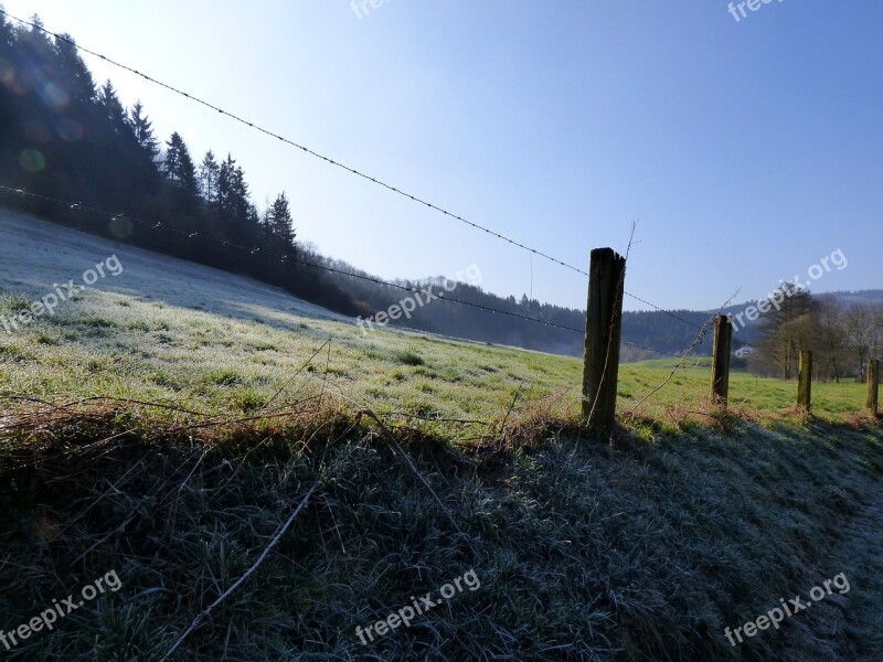 Fence Freezing Ripe Frozen Barbed Wire