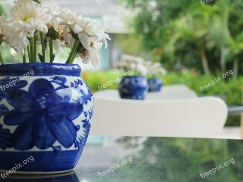 Vase Floral White Decoration Free Photos