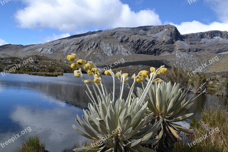 Colombia National Park Elcocuy Trekking Hiking