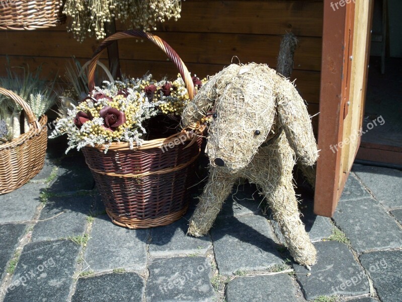 Dog Basket Straw Dog Pavers Free Photos