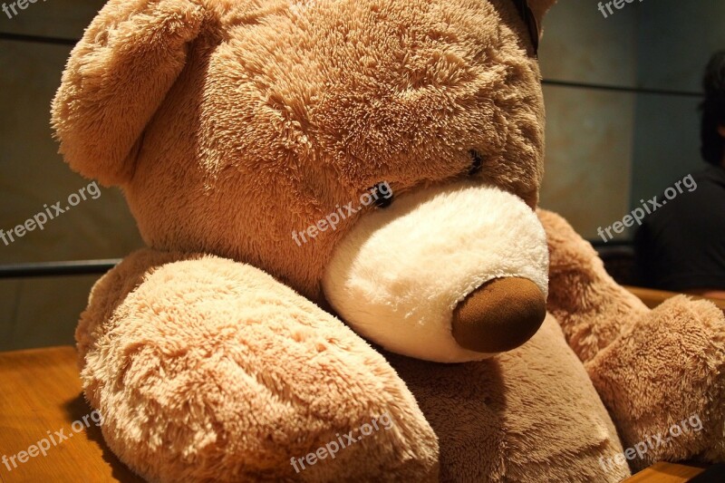 Teddy Bear Toy Soft Toy Brown Lovely