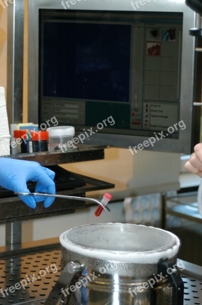 Laboratory Biospecimen Biobank Research Free Photos