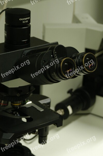 Microscope Laboratory Research Science Free Photos