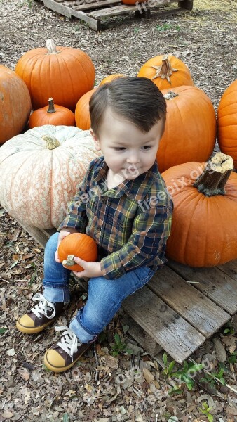 Pumpkin Fall Boy Free Photos