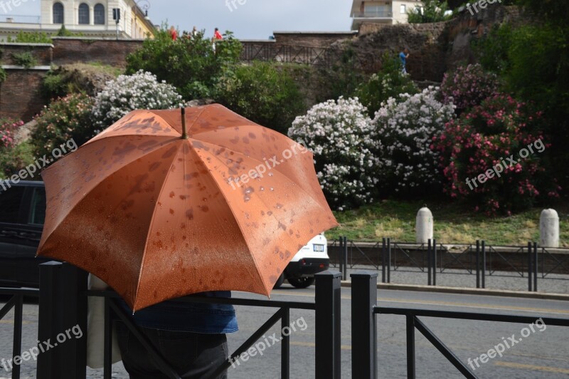 Rain Umbrella Italy Rome Summer