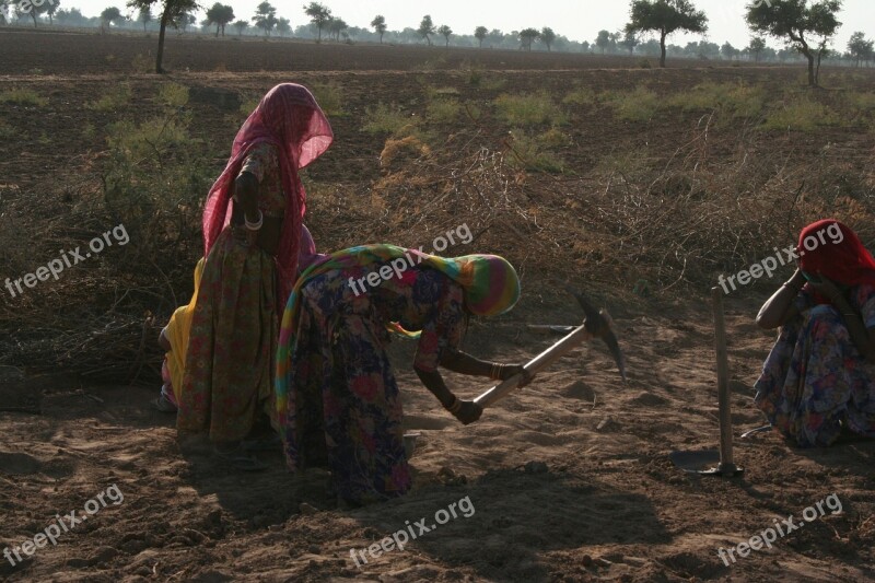 Women Work Rajasthan Travel Free Photos