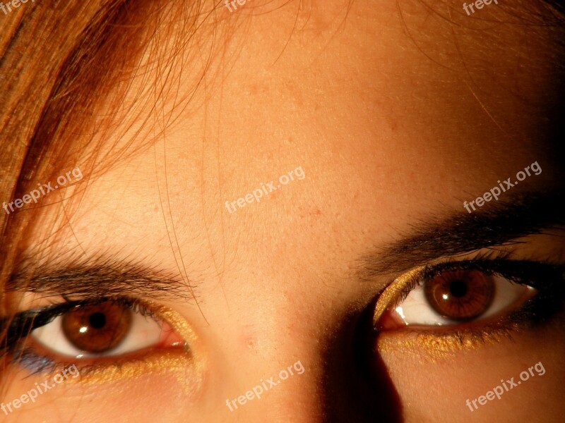 Brown Brown Eyes Iris Gene Light