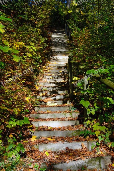 Stair Step Gradually Stairs Staircase Emergence