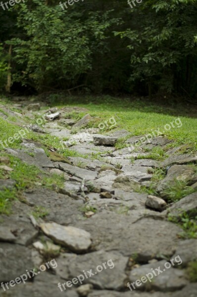 Stone Path Nature Stone Path Green