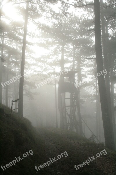 Hunting Delight Perch Hunting Seat Fog