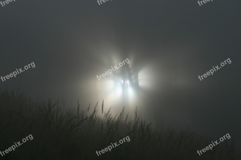 Fog Sun Atmospheric Mood Weather Mood