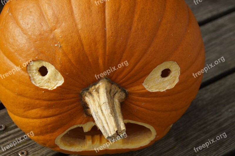 Halloween Pumpkin Pumpkin Ghost Autumn Face