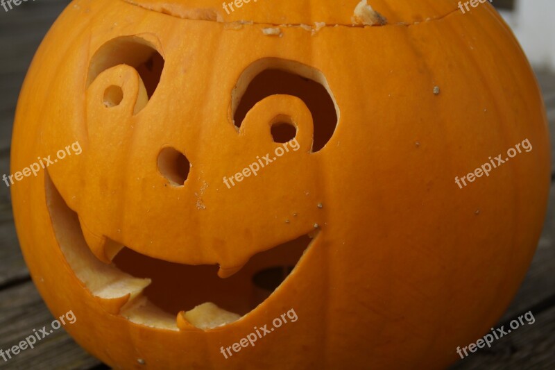 Pumpkin Pumpkin Ghost Face Halloween Autumn