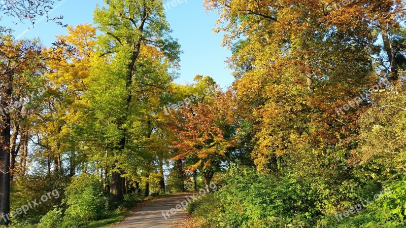 Autumn Colorful Leaves Autumnal Park Stuttgart Mountain Villa