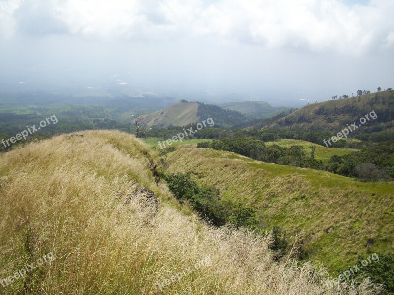 Mount Arjuno The Meadow Indonesian Free Photos