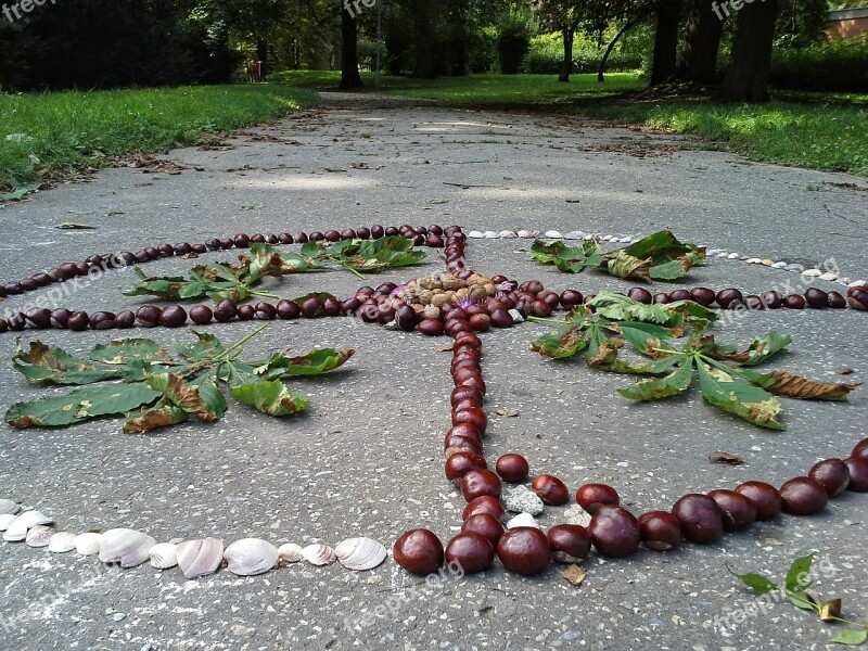 Chestnuts Mandala Autumn Autumnal Park