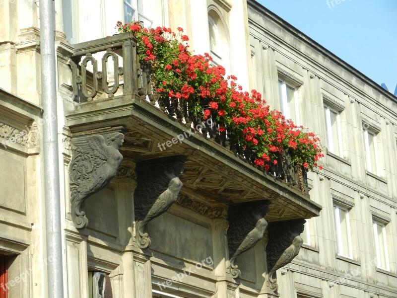 Balcony Flowers Flowered Shutters City