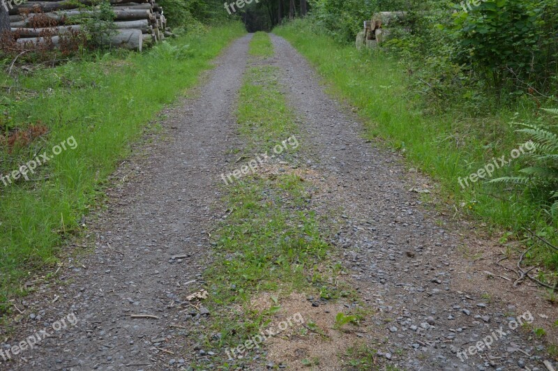 Dirt Road Summer Grass Road Green