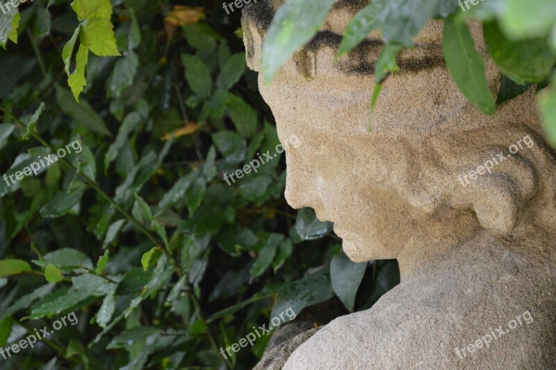 Statue Face Rome Italy Greenery