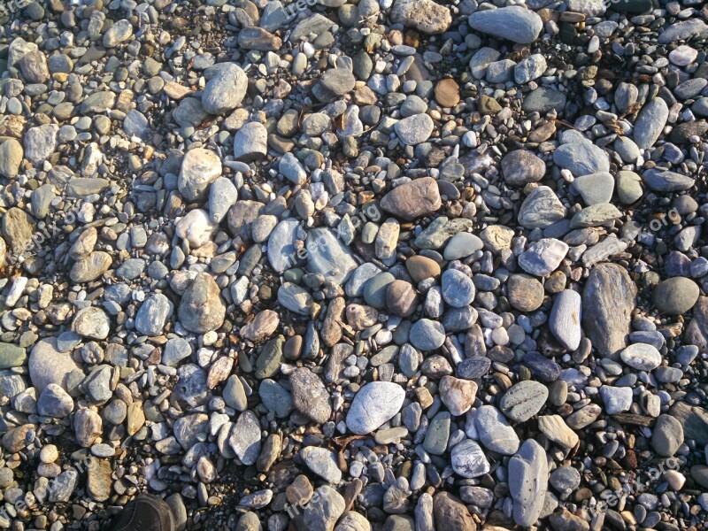 Riverbank Rocks Stones Nature River