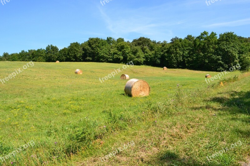 Hay Bales Fields Hay Field Agriculture