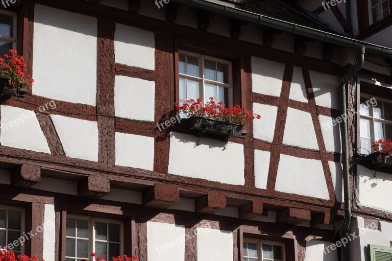 Fachwerkhaus Truss Flowers Flower Box House