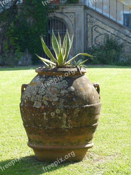 Amphora Italy Vase Tuscany Garden