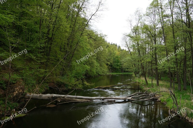 Drawa National Park Nature River Spring The Beauty Of Nature