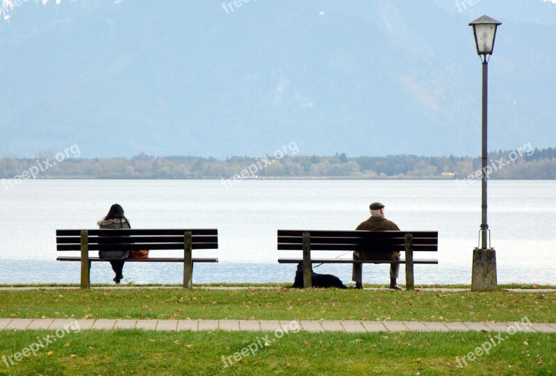 Bank Bench Human Sit Lake