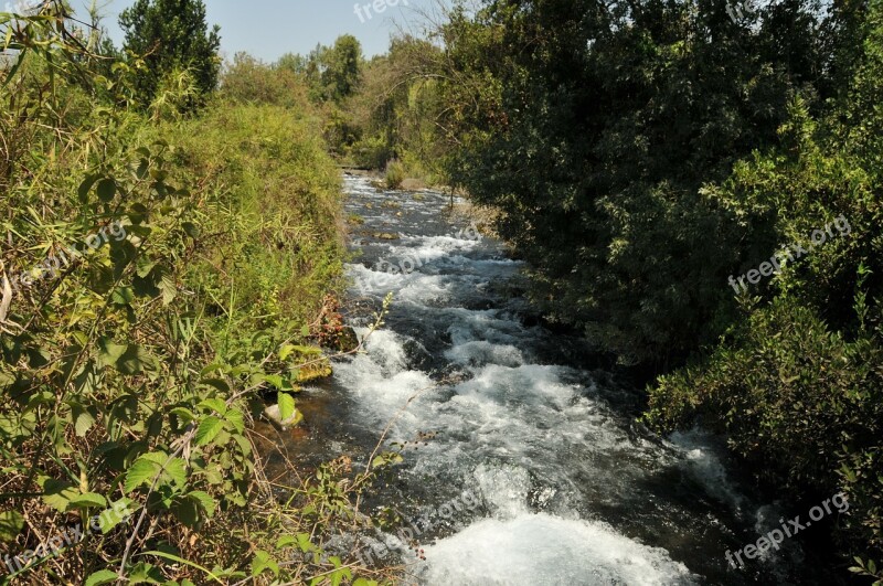 River Dan Israel Stream Rapids