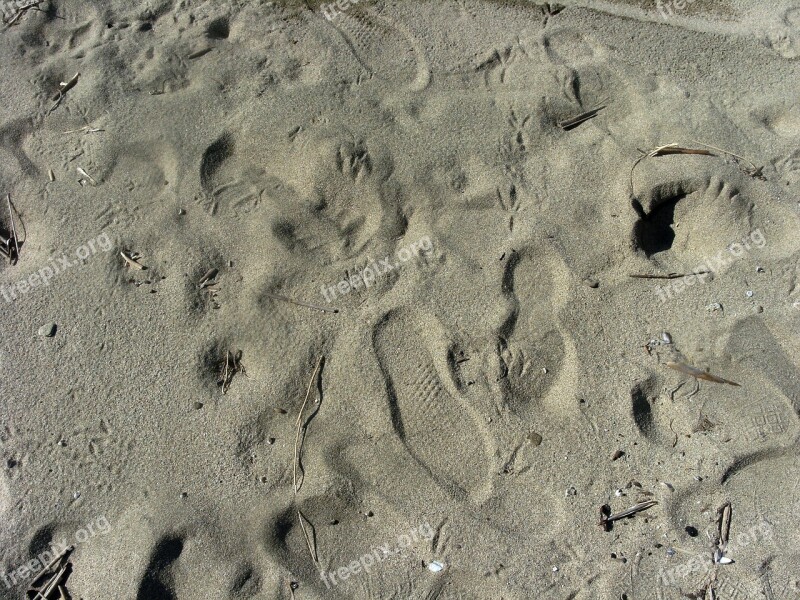 Sand Footprint Trace Mark Alone