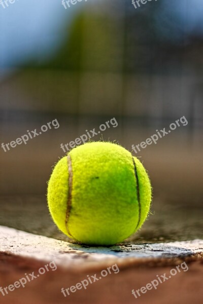 Tennis Ball Sport Equipment Yellow