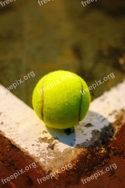 Tennis Ball Sport Equipment Yellow