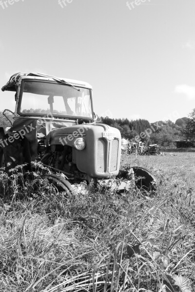 Tractor Meadow Agriculture Field Vehicle