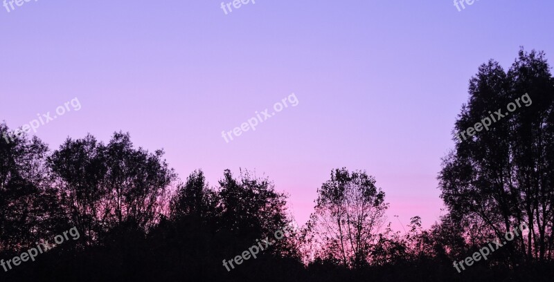 Sunset Sky Trees Horizon Twilight