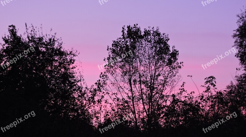 Sunset Sky Trees Horizon Twilight