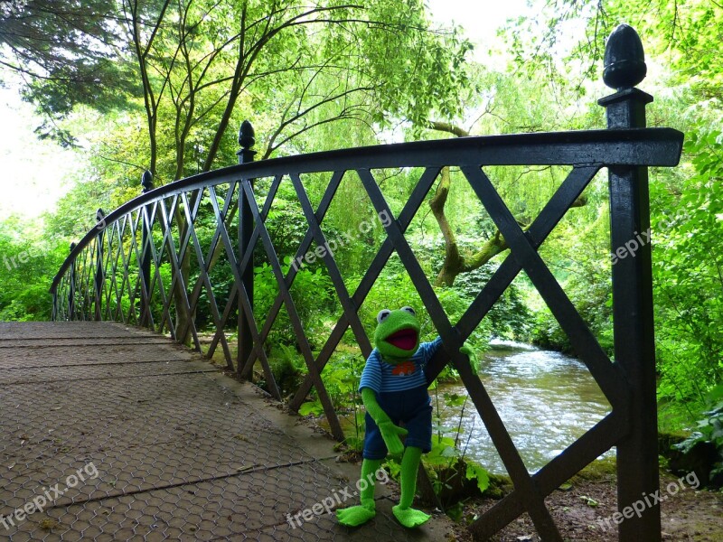 Bridge Kermit Frog Green River